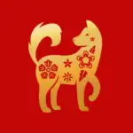 Chien