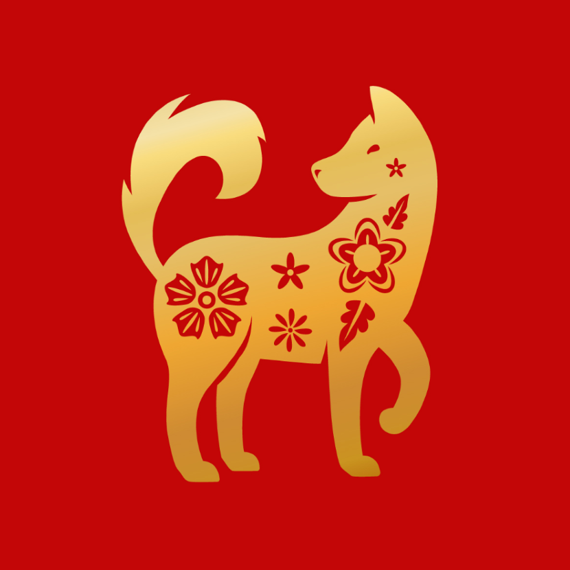 Chien