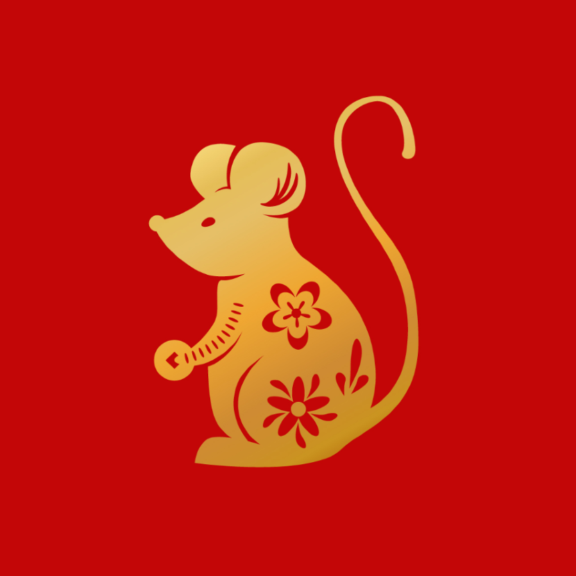 Rat